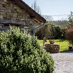 La Fagne Fleurie Les Myrtilles En Les Camomilles