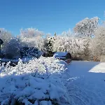 Feriehus La Fagne Fleurie Les Myrtilles En Les Camomilles