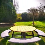 La Fagne Fleurie Les Myrtilles En Les Camomilles