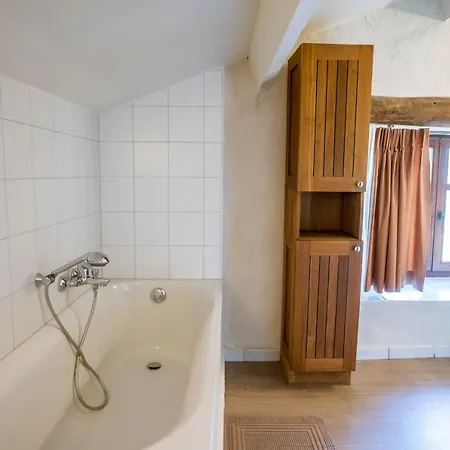 La Fagne Fleurie Les Myrtilles En Les Camomilles Вьельсальм