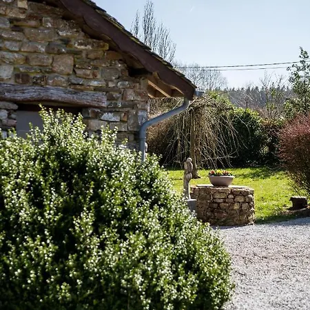 La Fagne Fleurie Les Myrtilles En Les Camomilles