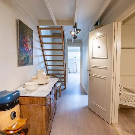 La Fagne Fleurie Les Myrtilles En Les Camomilles * Вьельсальм