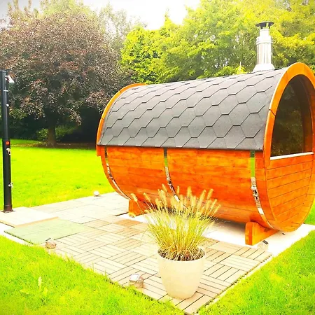 La Fagne Fleurie Les Myrtilles En Les Camomilles *