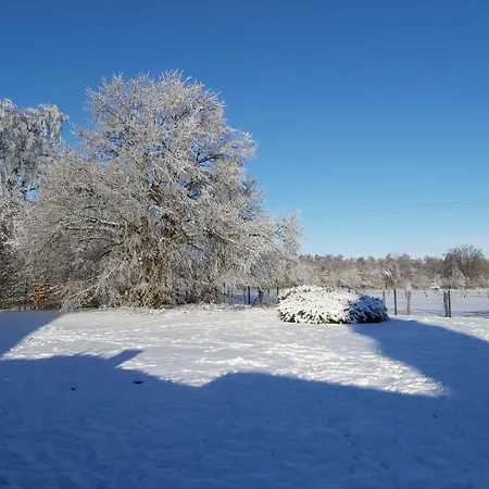 La Fagne Fleurie Les Myrtilles En Les Camomilles Semesterbostad