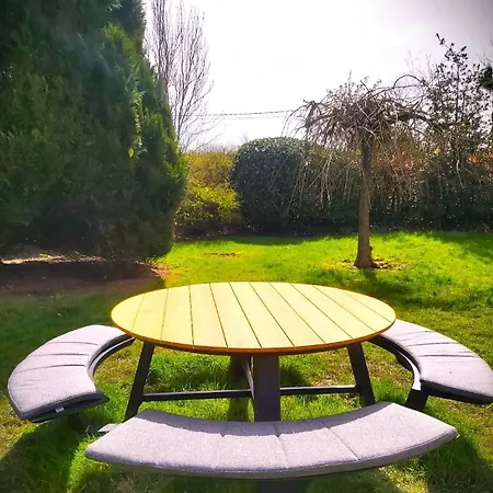 La Fagne Fleurie Les Myrtilles En Les Camomilles