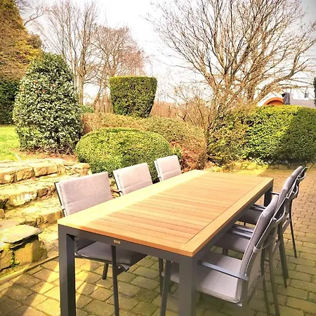 La Fagne Fleurie Les Myrtilles En Les Camomilles * Vielsalm