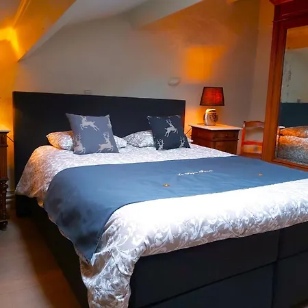 La Fagne Fleurie Les Myrtilles En Les Camomilles Vielsalm