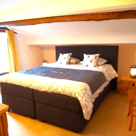 La Fagne Fleurie Les Myrtilles En Les Camomilles Holiday home