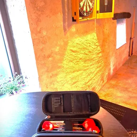 La Fagne Fleurie Les Myrtilles En Les Camomilles Vielsalm