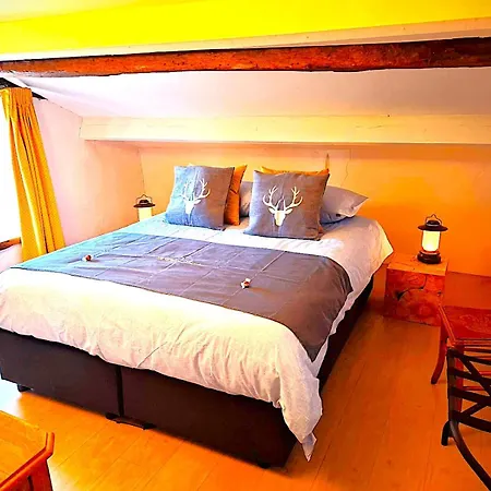 La Fagne Fleurie Les Myrtilles En Les Camomilles Holiday home Vielsalm