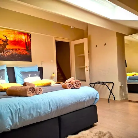 La Fagne Fleurie Les Myrtilles En Les Camomilles Holiday home Vielsalm