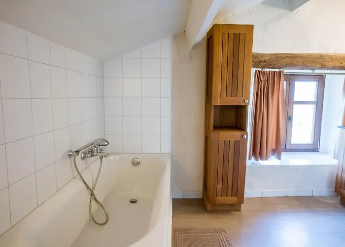 La Fagne Fleurie Les Myrtilles En Les Camomilles Vielsalm