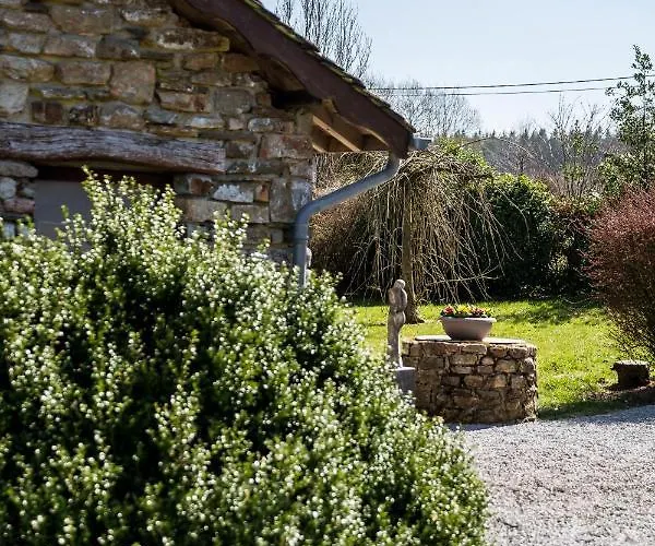 La Fagne Fleurie Les Myrtilles En Les Camomilles