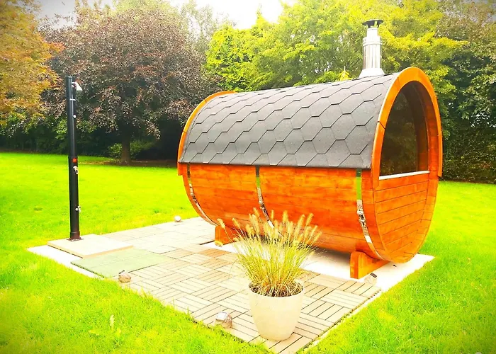 La Fagne Fleurie Les Myrtilles En Les Camomilles *