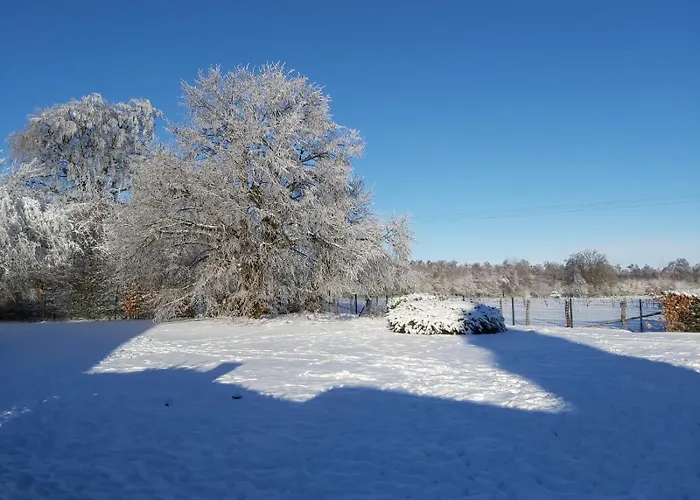 La Fagne Fleurie Les Myrtilles En Les Camomilles Сasa de vacaciones