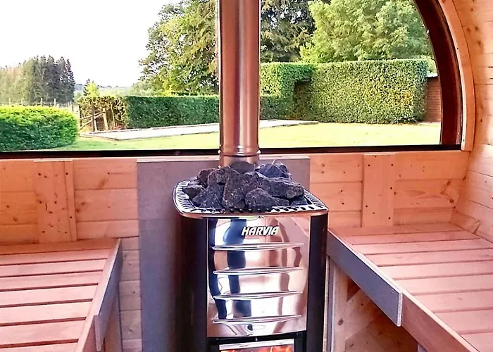 La Fagne Fleurie Les Myrtilles En Les Camomilles * Vielsalm