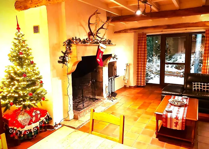 La Fagne Fleurie Les Myrtilles En Les Camomilles Vielsalm