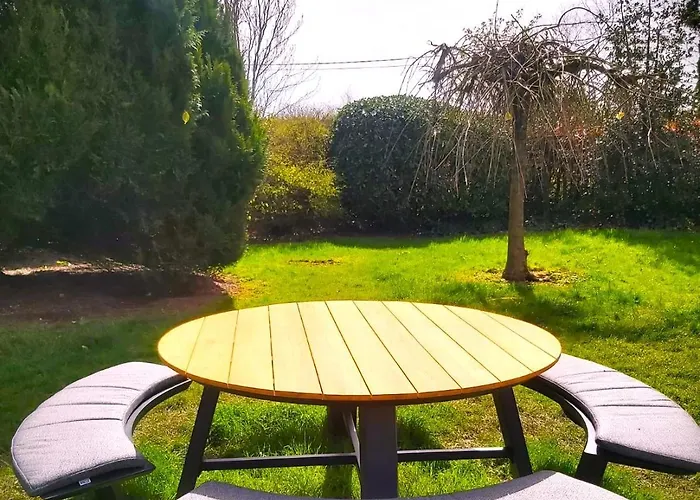 La Fagne Fleurie Les Myrtilles En Les Camomilles