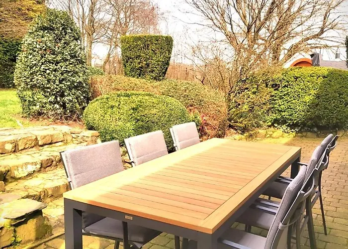 La Fagne Fleurie Les Myrtilles En Les Camomilles * Vielsalm