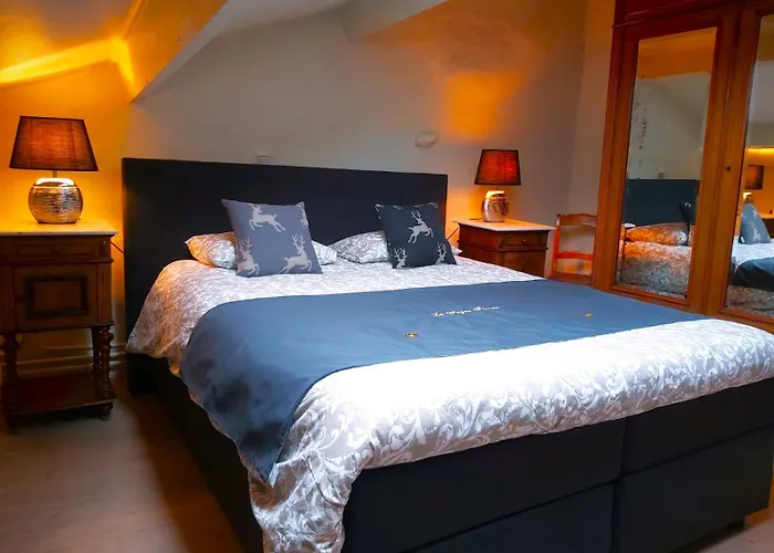 La Fagne Fleurie Les Myrtilles En Les Camomilles Vielsalm