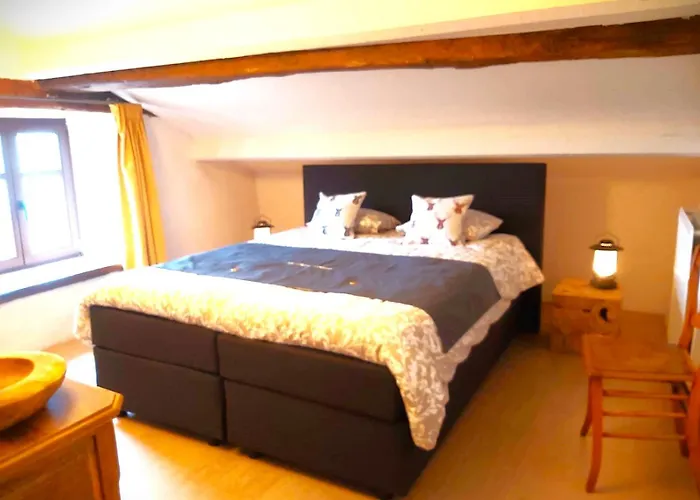 La Fagne Fleurie Les Myrtilles En Les Camomilles Hébergement de vacances