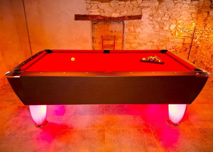 La Fagne Fleurie Les Myrtilles En Les Camomilles