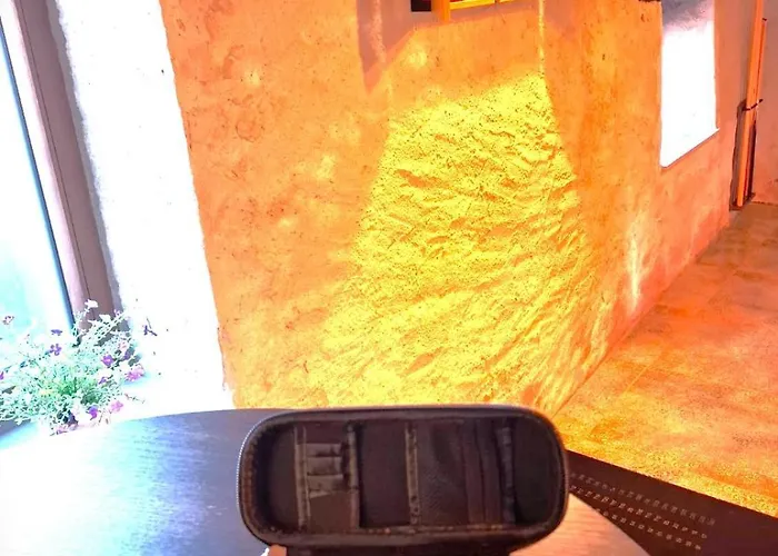 La Fagne Fleurie Les Myrtilles En Les Camomilles Vielsalm